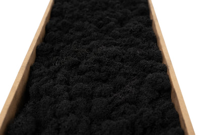 Licheni curatati si fara radacina conservati 500g NET. calitate ULTRA PREMIUM. negru RR22