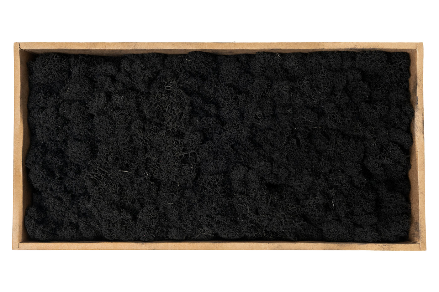 Licheni curatati si fara radacina conservati 500g NET. calitate ULTRA PREMIUM. negru RR22