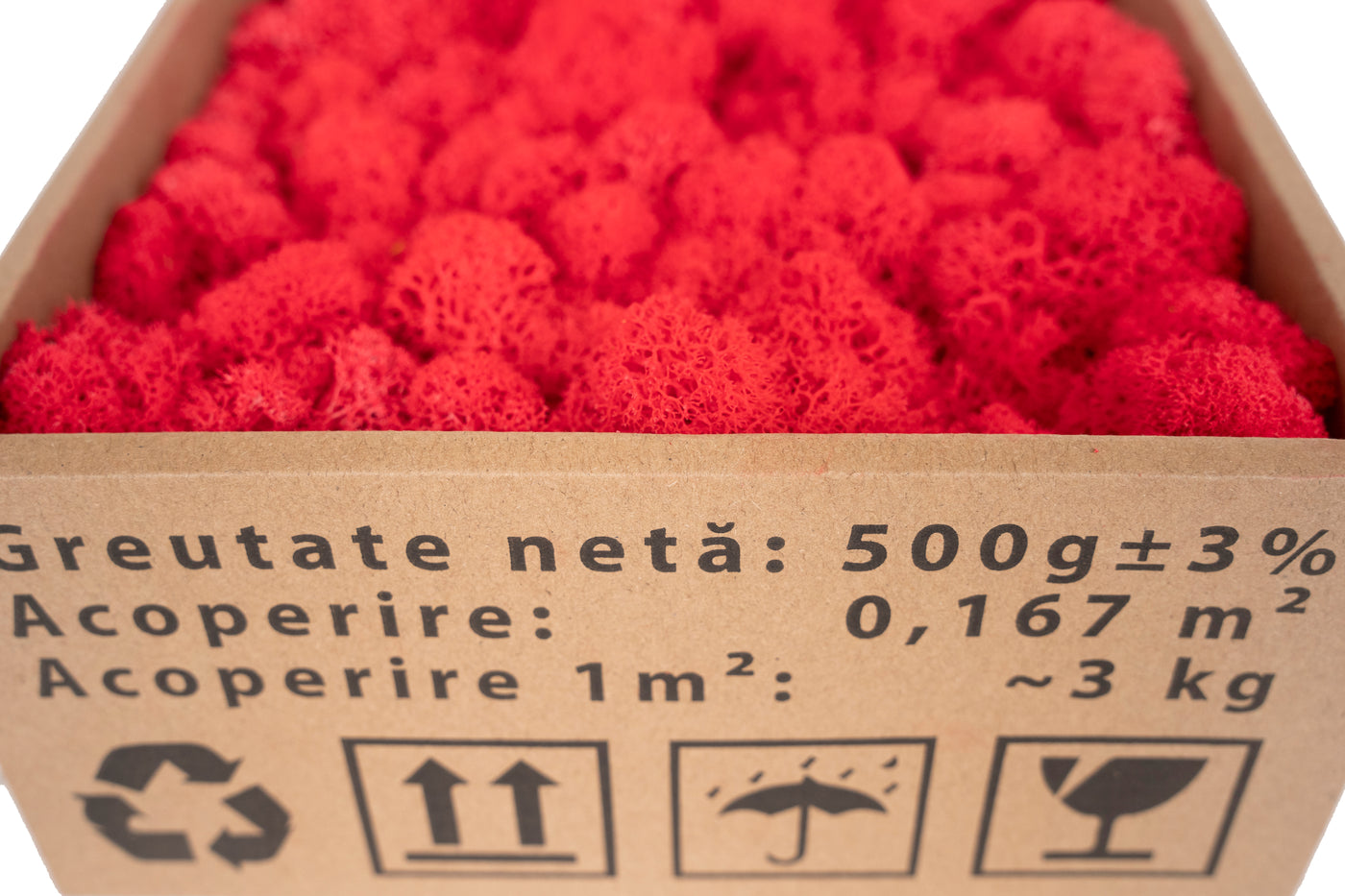 Licheni curatati si fara radacina conservati 500g NET. calitate ULTRA PREMIUM. rosu watermelon RR40