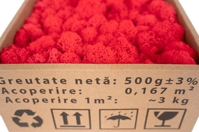 Licheni curatati si fara radacina conservati 500g NET. calitate ULTRA PREMIUM. rosu watermelon RR40