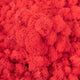 Licheni curatati si fara radacina conservati 500g NET. calitate ULTRA PREMIUM. rosu watermelon RR40