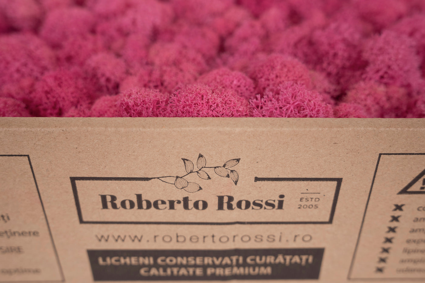 Licheni curatati si fara radacina conservati 500g NET. calitate ULTRA PREMIUM. roz barbie RR49