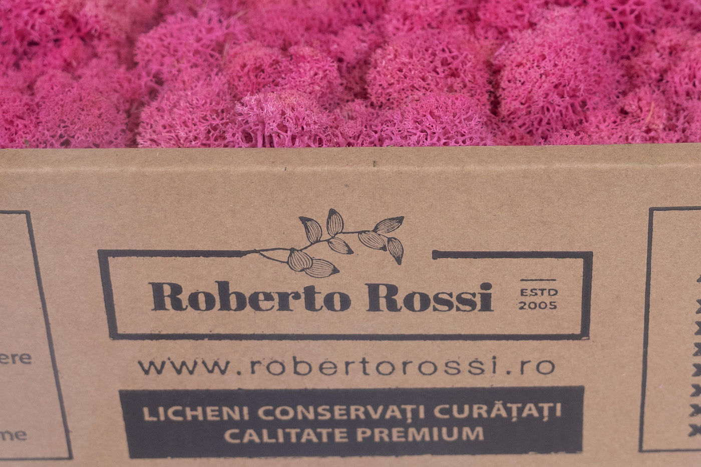 Licheni curatati si fara radacina conservati 500g NET. calitate ULTRA PREMIUM. roz bombon RR27 new