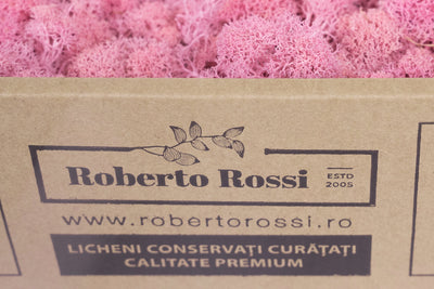 Licheni curatati si fara radacina conservati 500g NET. calitate ULTRA PREMIUM. roz clasic RR26