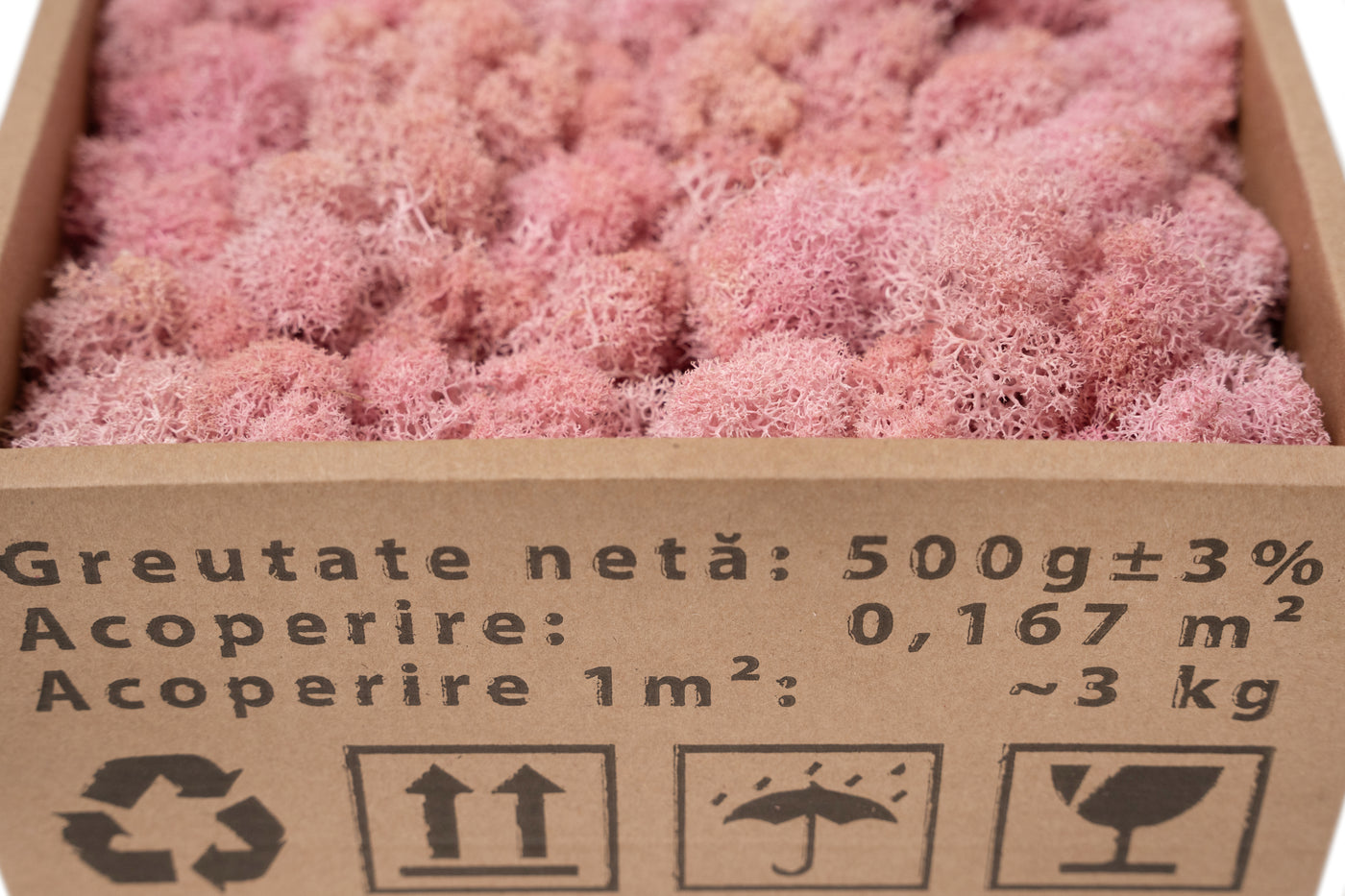 Licheni curatati si fara radacina conservati 500g NET. calitate ULTRA PREMIUM. roz deschis RR21