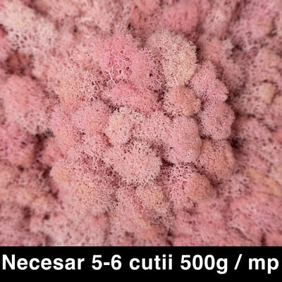 Licheni curatati si fara radacina conservati 500g NET. calitate ULTRA PREMIUM. roz deschis RR21