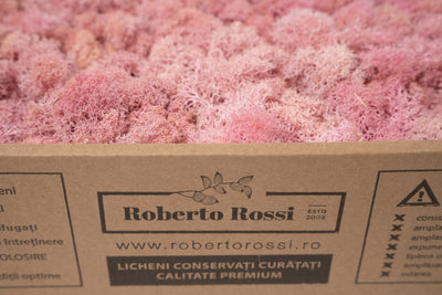 Licheni curatati si fara radacina conservati 500g NET. calitate ULTRA PREMIUM. roz deschis RR21