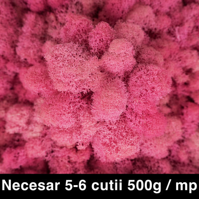 Licheni curatati si fara radacina conservati 500g NET. calitate ULTRA PREMIUM. roz flamingo RR50