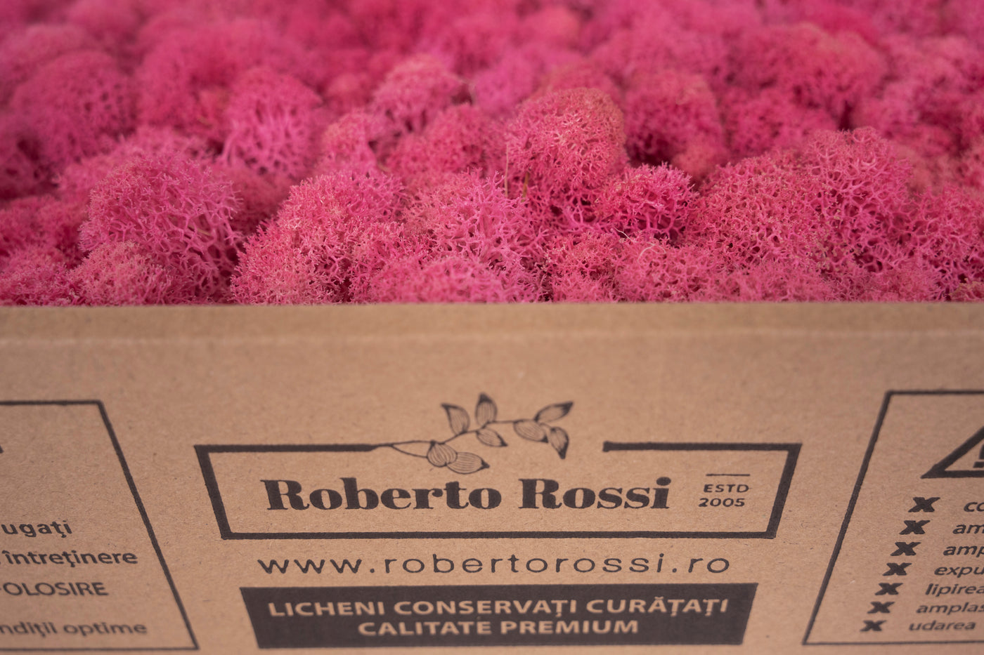 Licheni curatati si fara radacina conservati 500g NET. calitate ULTRA PREMIUM. roz flamingo RR50