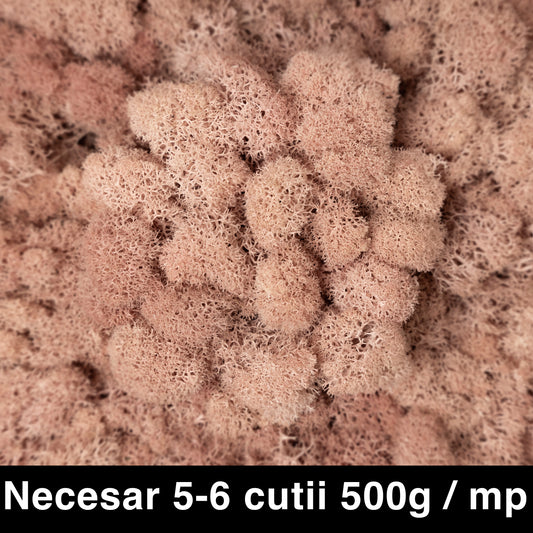 Licheni curatati si fara radacina conservati 500g NET. calitate ULTRA PREMIUM. roz piersica RR65
