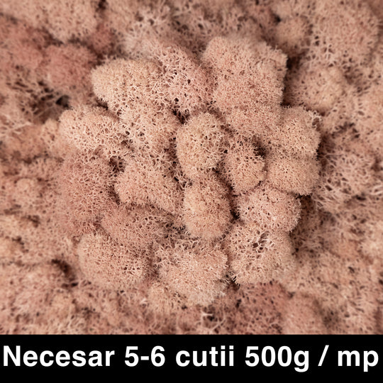 Licheni curatati si fara radacina conservati 500g NET. calitate ULTRA PREMIUM. roz piersica RR65