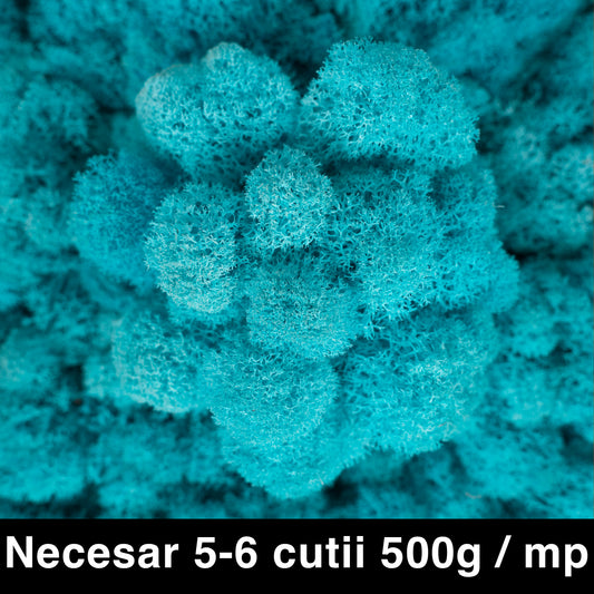 Licheni curatati si fara radacina conservati 500g NET. calitate ULTRA PREMIUM. tucoaz marin RR44