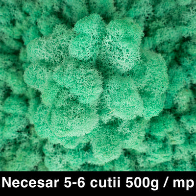 Licheni curatati si fara radacina conservati 500g NET. calitate ULTRA PREMIUM. turcoaz RR43