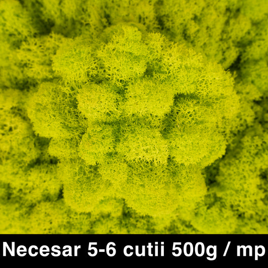 Licheni curatati si fara radacina conservati 500g NET. calitate ULTRA PREMIUM. verde bitter lemon RR38