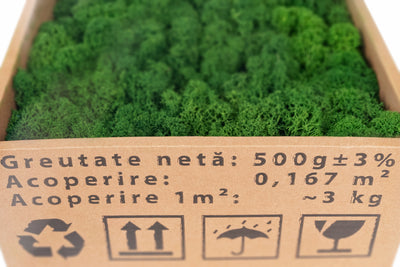 Licheni curatati si fara radacina conservati 500g NET. calitate ULTRA PREMIUM. verde broccoli deschis RR07