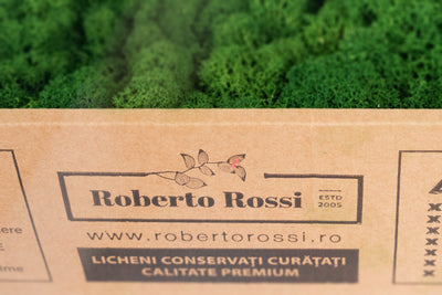 Licheni curatati si fara radacina conservati 500g NET. calitate ULTRA PREMIUM. verde broccoli deschis RR07