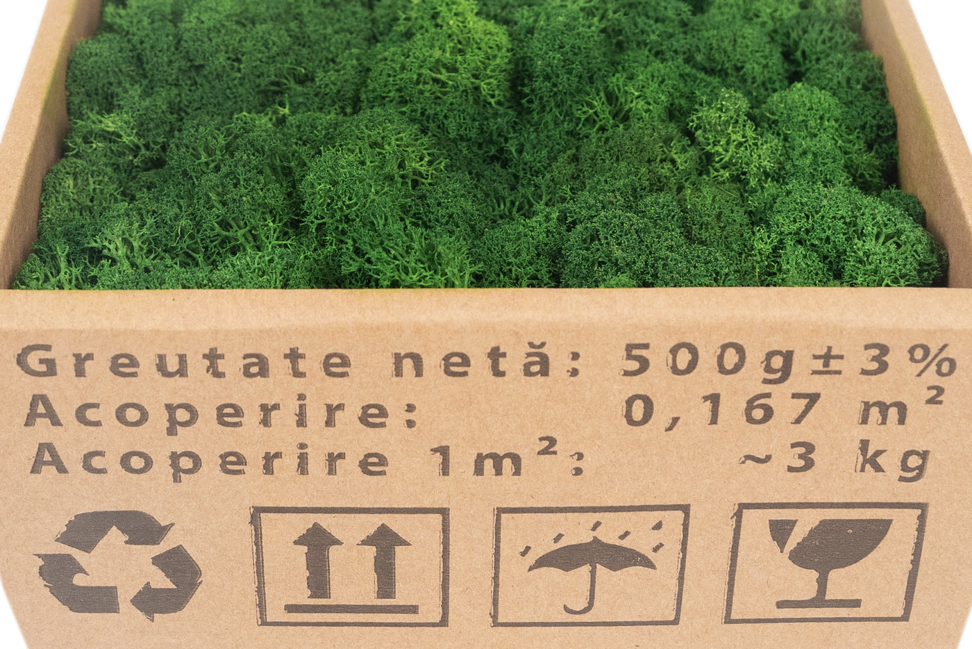 Licheni curatati si fara radacina conservati 500g NET. calitate ULTRA PREMIUM. verde broccoli inchis RR66