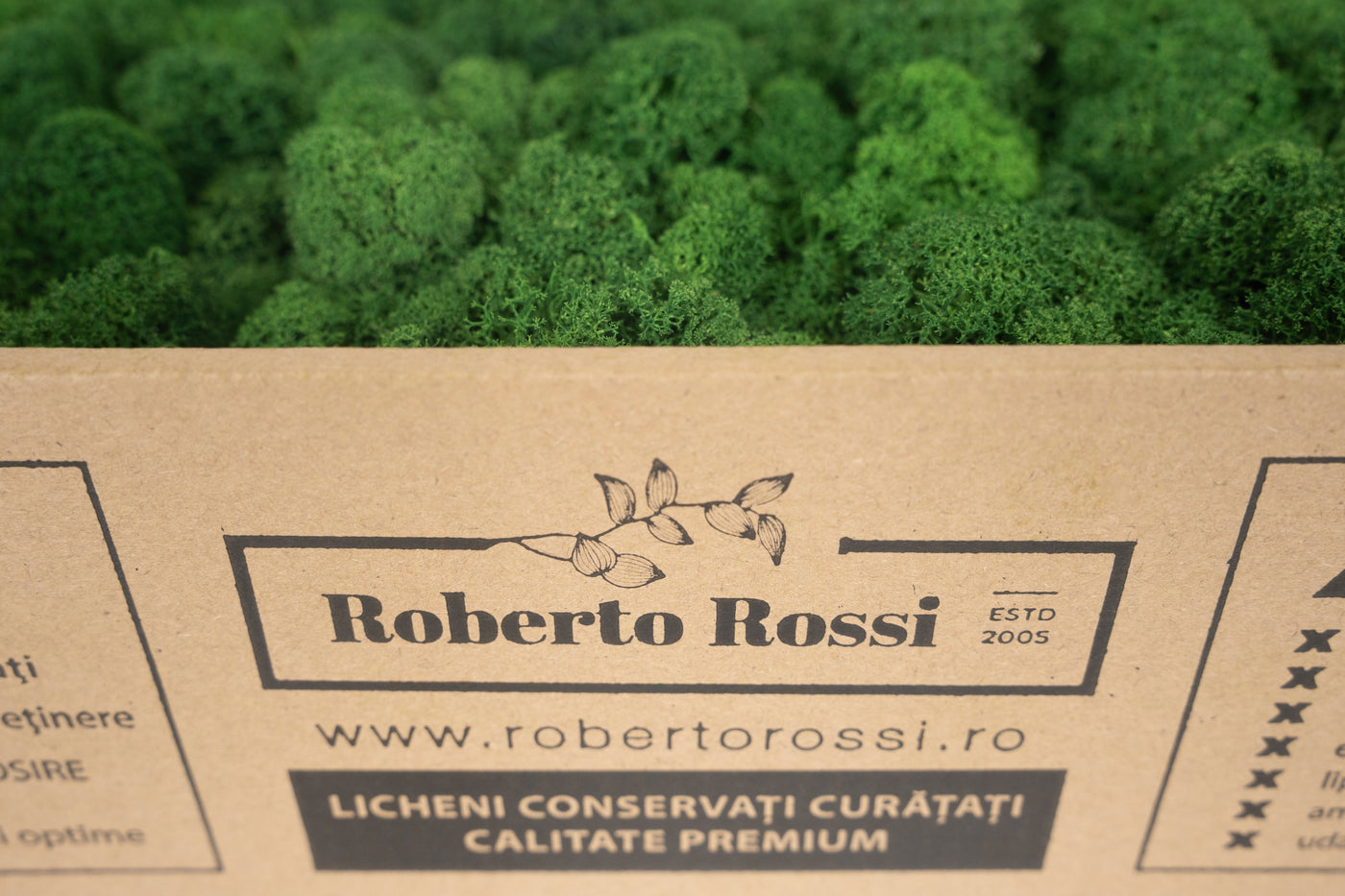 Licheni curatati si fara radacina conservati 500g NET. calitate ULTRA PREMIUM. verde broccoli RR37