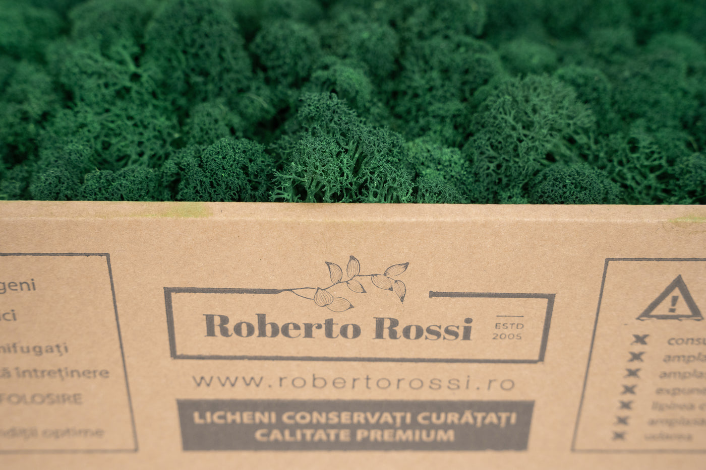 Licheni curatati si fara radacina conservati 500g NET. calitate ULTRA PREMIUM. verde catifea RR73