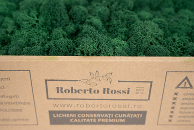 Licheni curatati si fara radacina conservati 500g NET. calitate ULTRA PREMIUM. verde catifea RR73
