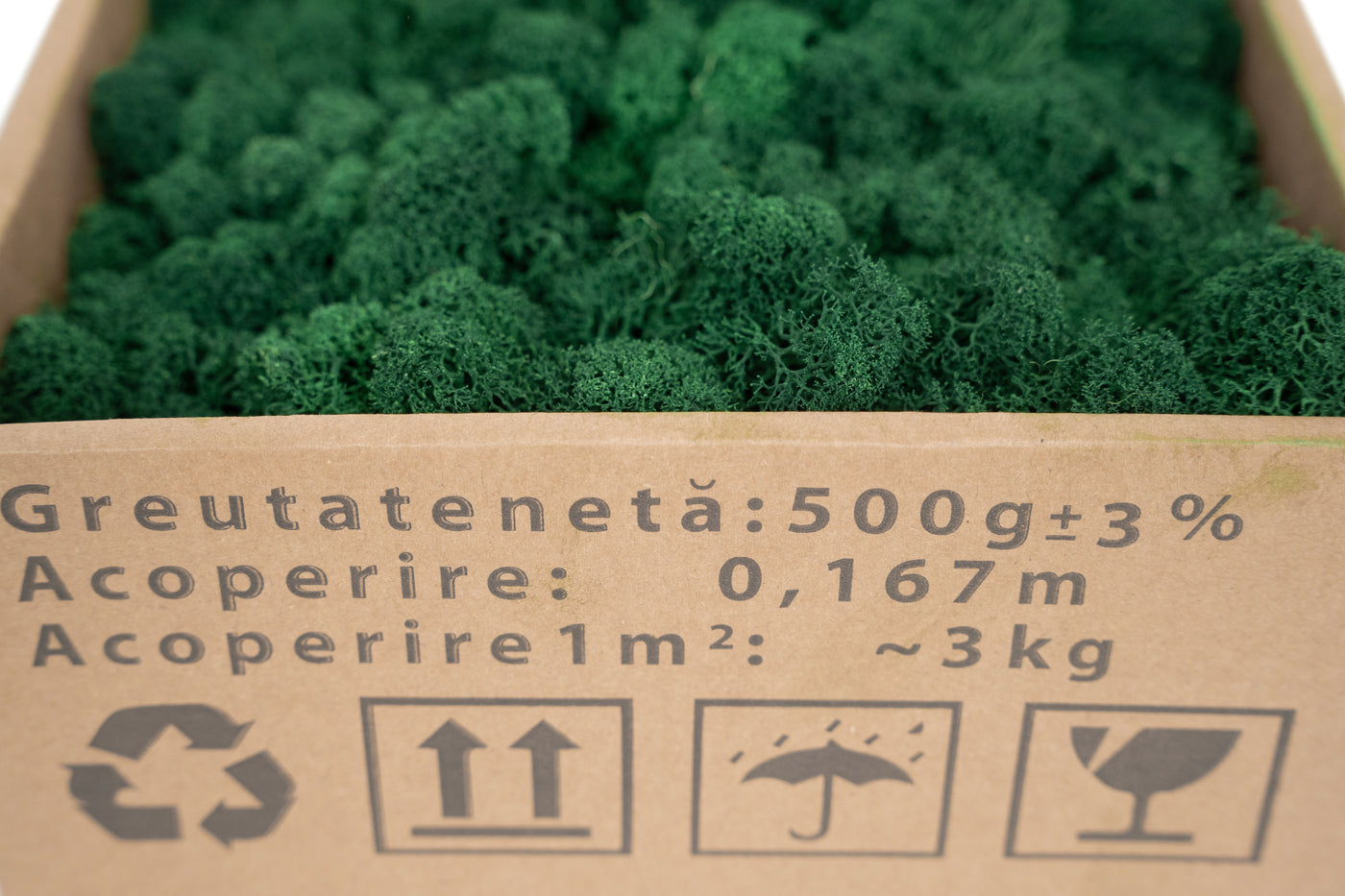 Licheni curatati si fara radacina conservati 500g NET. calitate ULTRA PREMIUM. verde catifea RR73