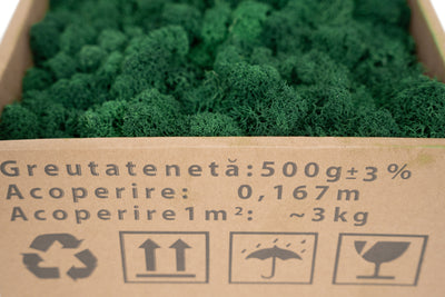 Licheni curatati si fara radacina conservati 500g NET. calitate ULTRA PREMIUM. verde catifea RR73