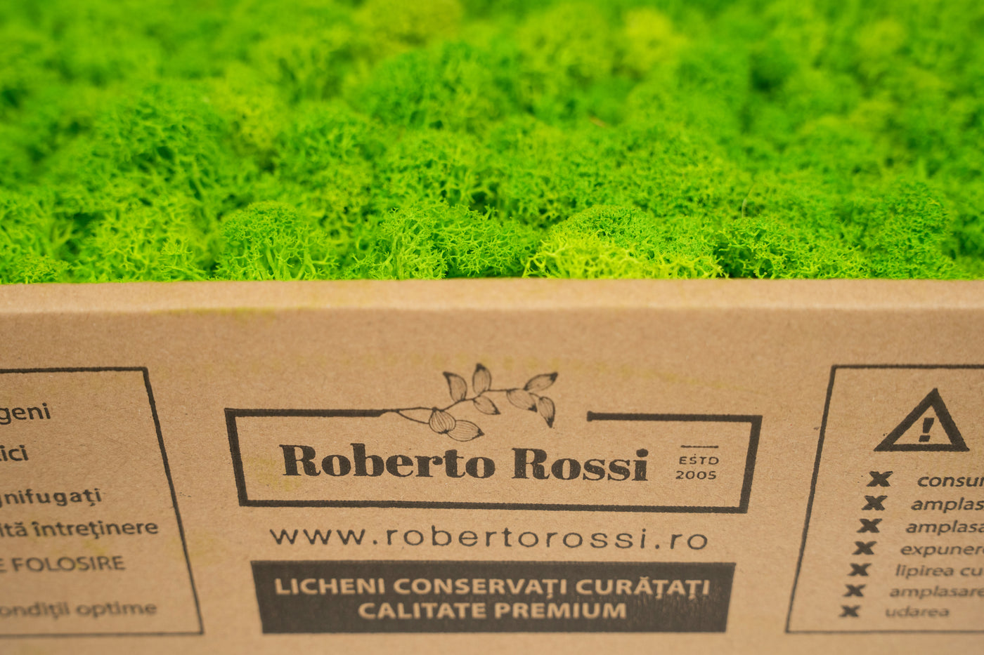 Licheni curatati si fara radacina conservati 500g NET. calitate ULTRA PREMIUM. verde de vara RR55