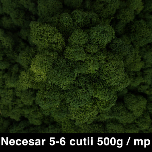 Licheni curatati si fara radacina conservati 500g NET. calitate ULTRA PREMIUM. verde inchis RR01