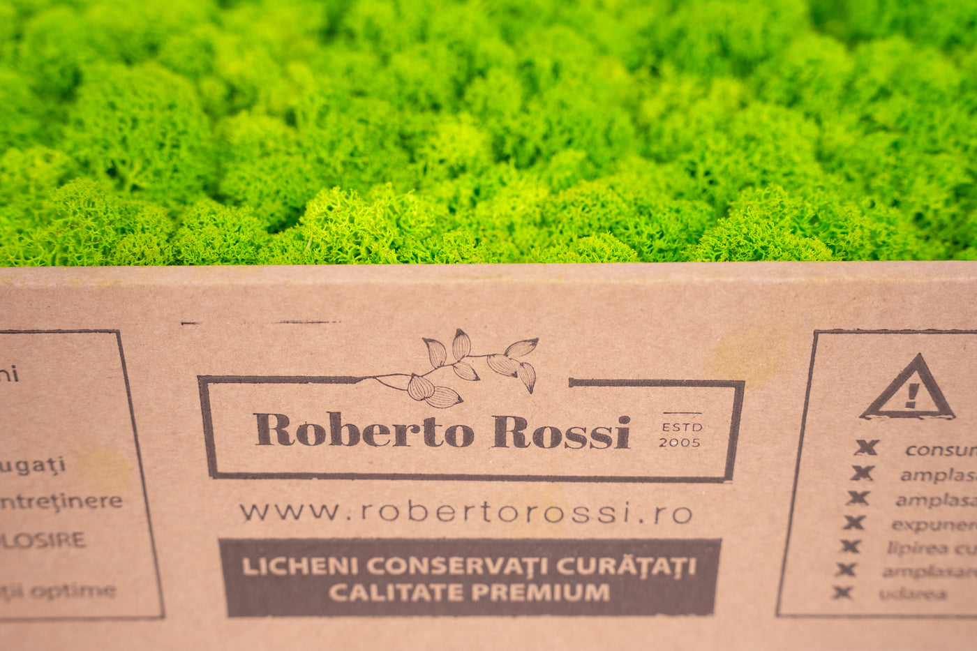 Licheni curatati si fara radacina conservati 500g NET. calitate ULTRA PREMIUM. verde intens deschis cu verde neon RR75