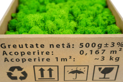 Licheni curatati si fara radacina conservati 500g NET. calitate ULTRA PREMIUM. verde intens RR03