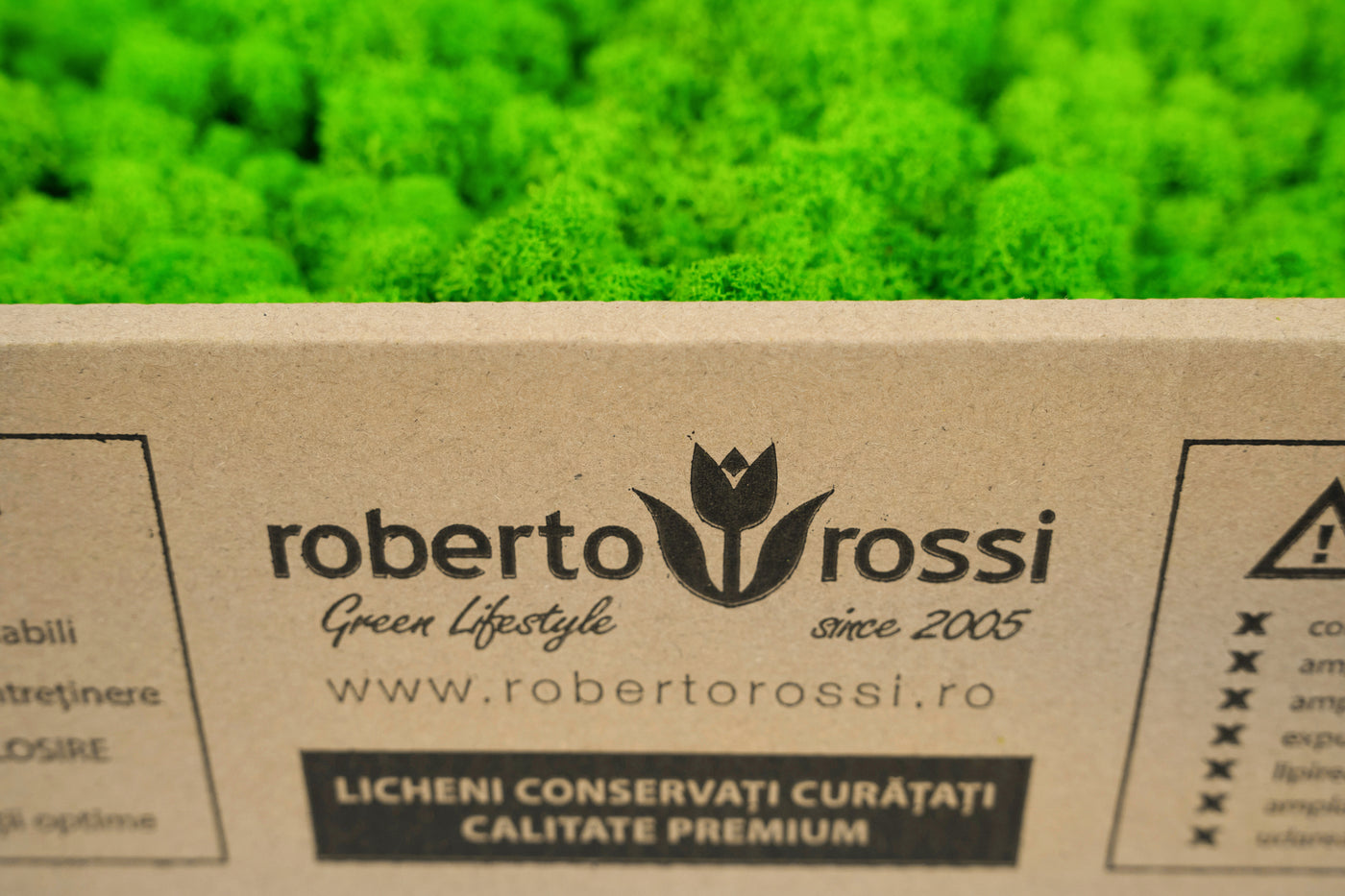 Licheni curatati si fara radacina conservati 500g NET. calitate ULTRA PREMIUM. verde intens RR03