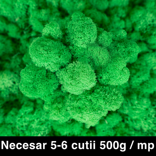 Licheni curatati si fara radacina conservati 500g NET. calitate ULTRA PREMIUM. verde island RR36