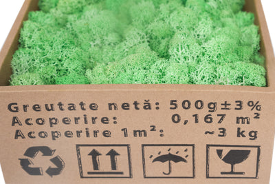 Licheni curatati si fara radacina conservati 500g NET. calitate ULTRA PREMIUM. verde menta RR10