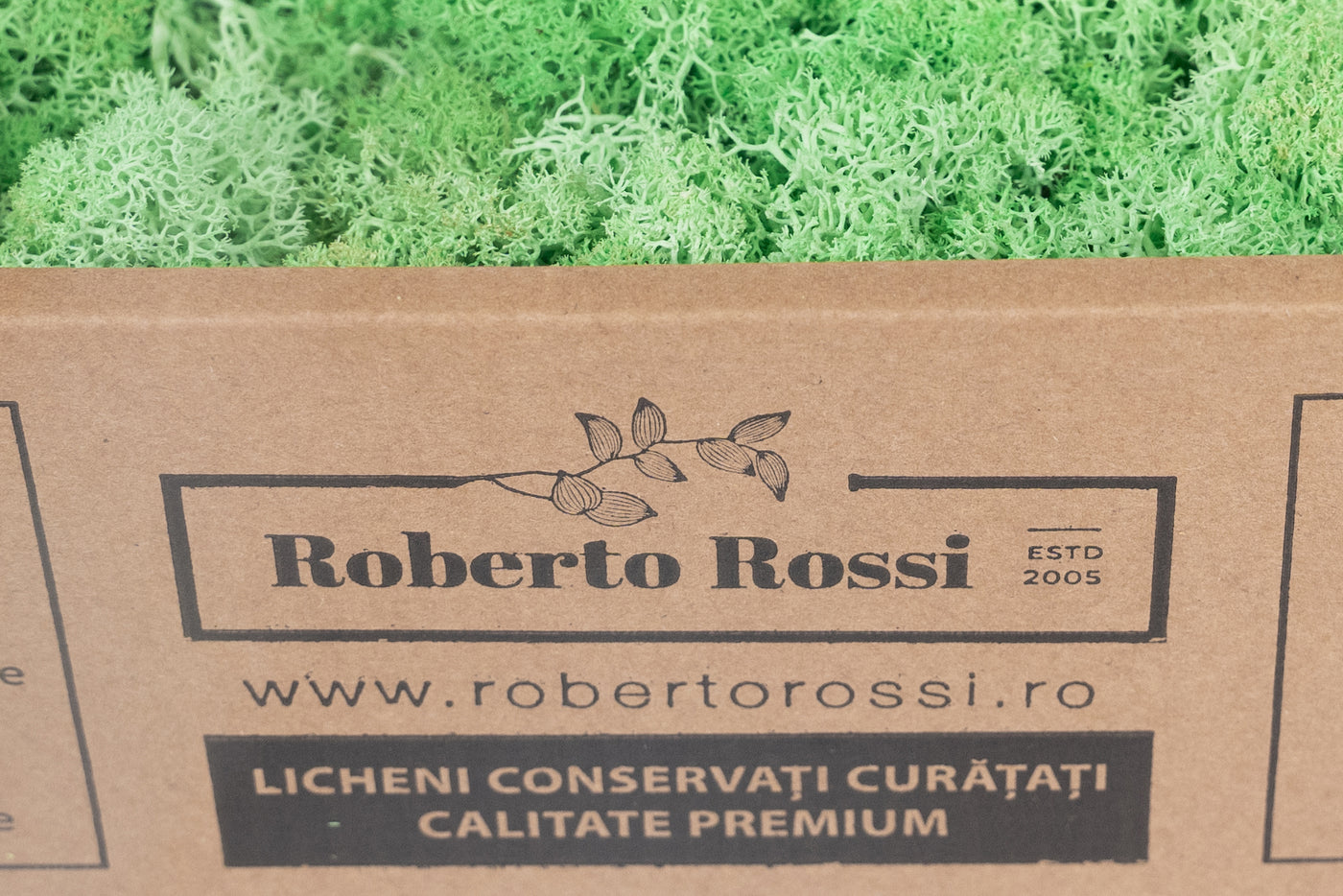 Licheni curatati si fara radacina conservati 500g NET. calitate ULTRA PREMIUM. verde menta RR10