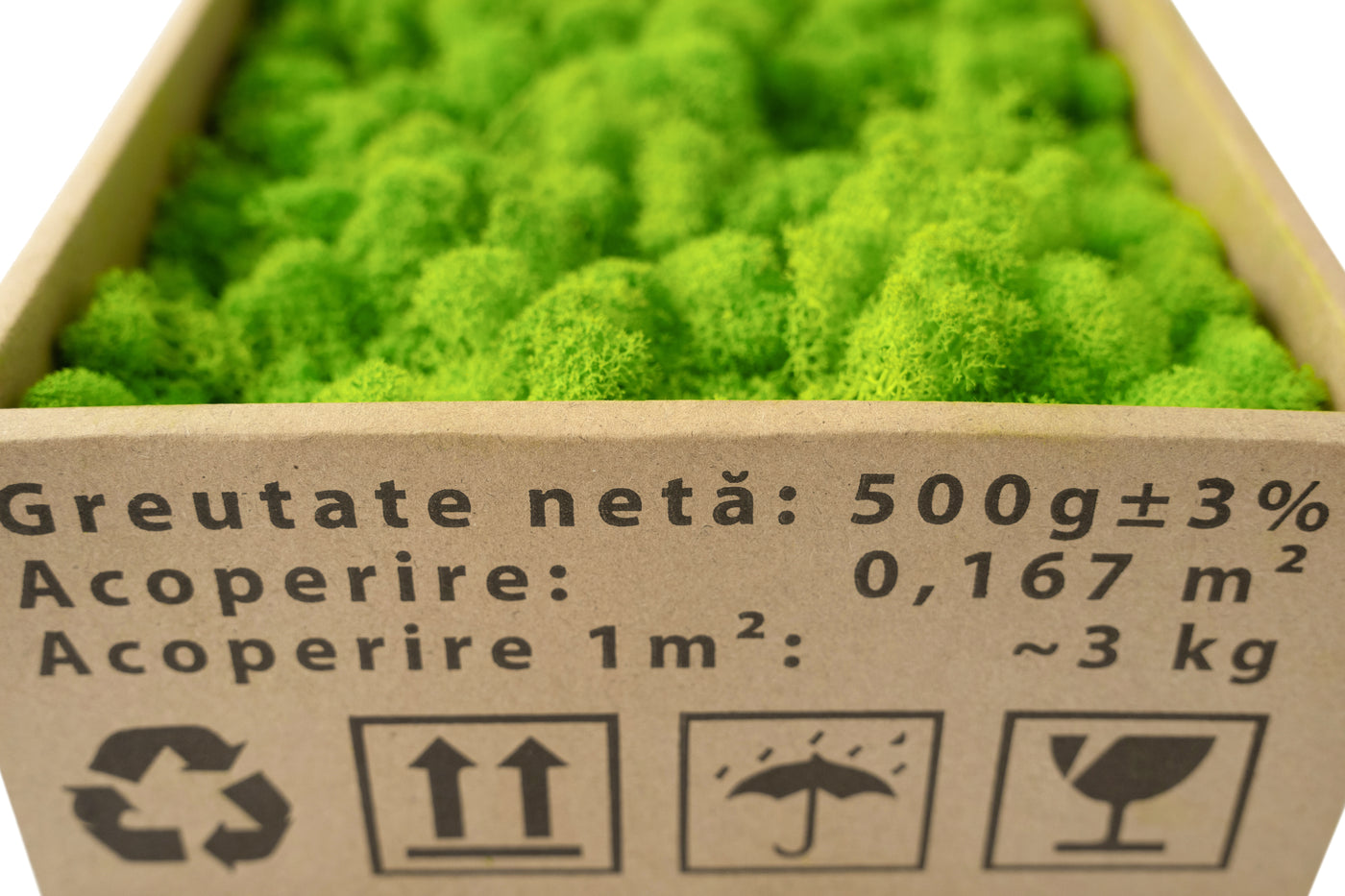 Licheni curatati si fara radacina conservati 500g NET. calitate ULTRA PREMIUM. verde neon RR34