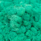 Licheni curatati si fara radacina conservati 500g NET. calitate ULTRA PREMIUM. verde pacific intens RR62