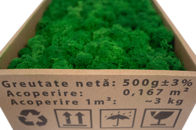 Licheni curatati si fara radacina conservati 500g NET. calitate ULTRA PREMIUM. verde smarald deschis RR54 NEW