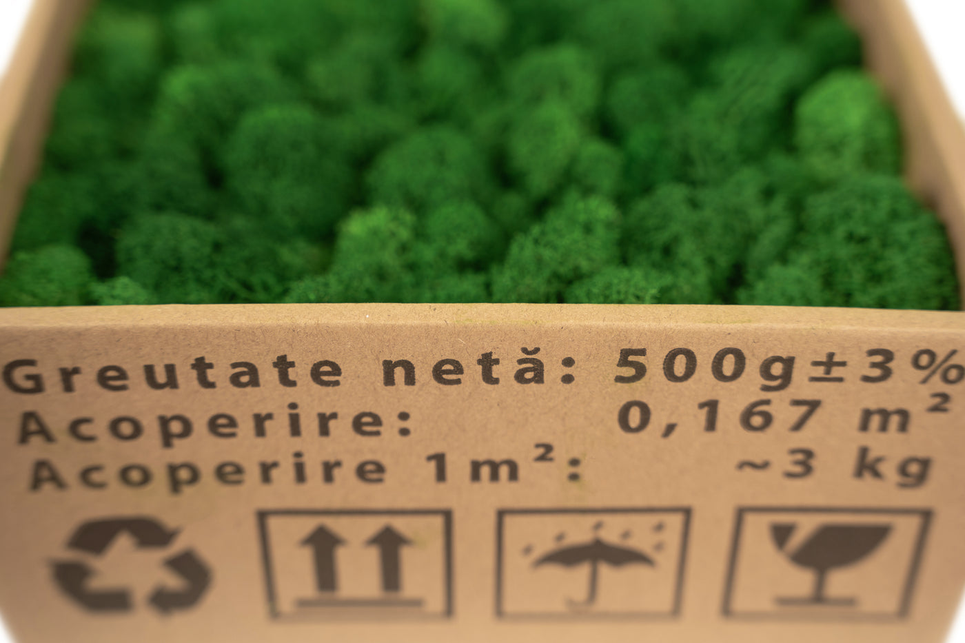 Licheni curatati si fara radacina conservati 500g NET. calitate ULTRA PREMIUM. verde smarald inchis RR53