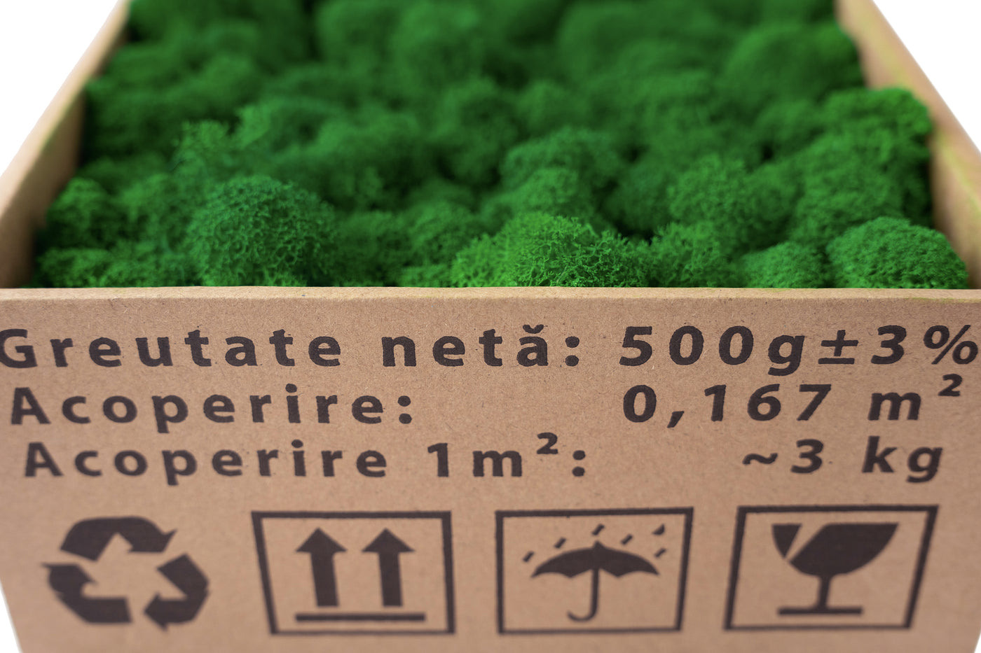 Licheni curatati si fara radacina conservati 500g NET. calitate ULTRA PREMIUM. verde smarald inchis RR53