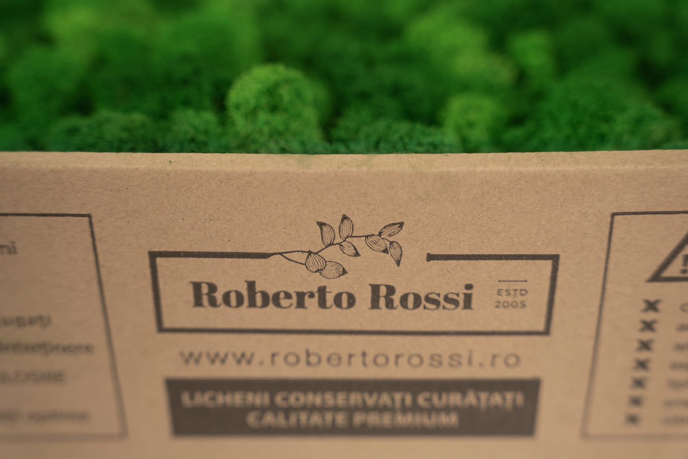 Licheni curatati si fara radacina conservati 500g NET. calitate ULTRA PREMIUM. verde smarald inchis RR53