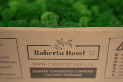 Licheni curatati si fara radacina conservati 500g NET. calitate ULTRA PREMIUM. verde smarald inchis RR53