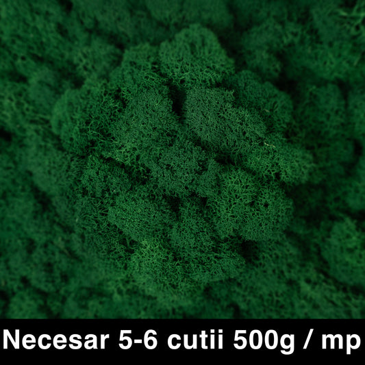 Licheni curatati si fara radacina conservati 500g NET. calitate ULTRA PREMIUM. verde smarald mediu RR71