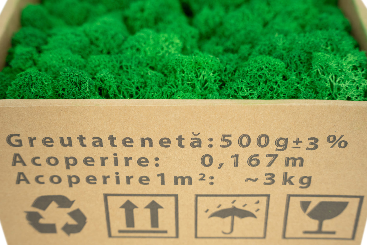 Licheni curatati si fara radacina conservati 500g NET. calitate ULTRA PREMIUM. verde smarald RR02
