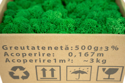 Licheni curatati si fara radacina conservati 500g NET. calitate ULTRA PREMIUM. verde smarald RR02