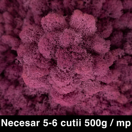 Licheni curatati si fara radacina conservati 500g NET. calitate ULTRA PREMIUM. violet plum inchis RR46