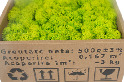 Licheni curatati si fara radacina conservati 500g NET. PREMIUM. verde primavara RR05