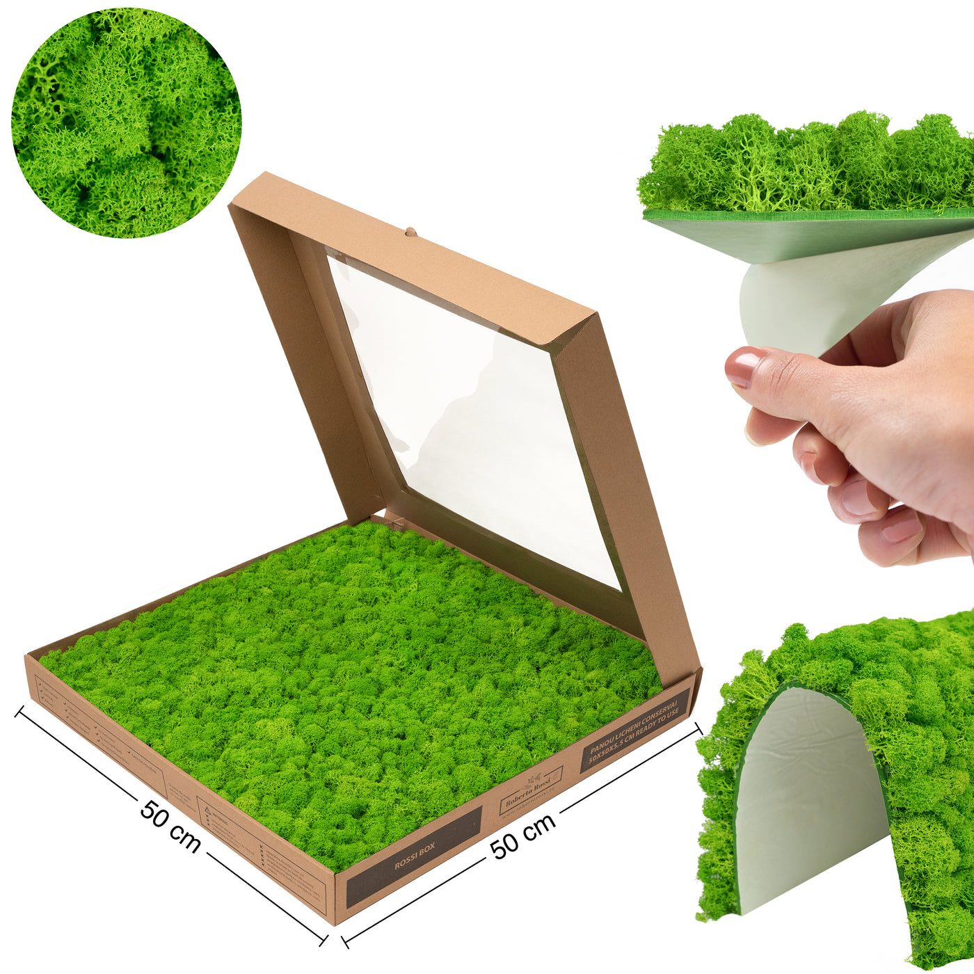 Licheni stabilizati gata lipiti panou 50x50x4.5 cm verde intens deschis RR55