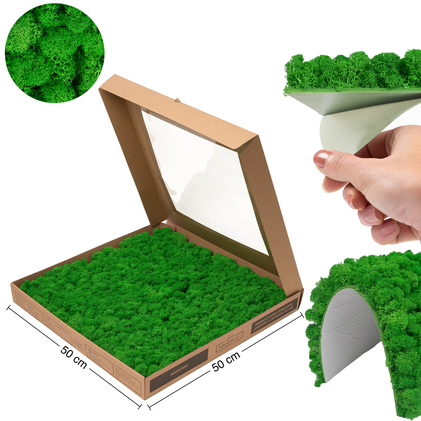 Licheni stabilizati gata lipiti panou 50x50x4.5 cm verde intens mediu RR56