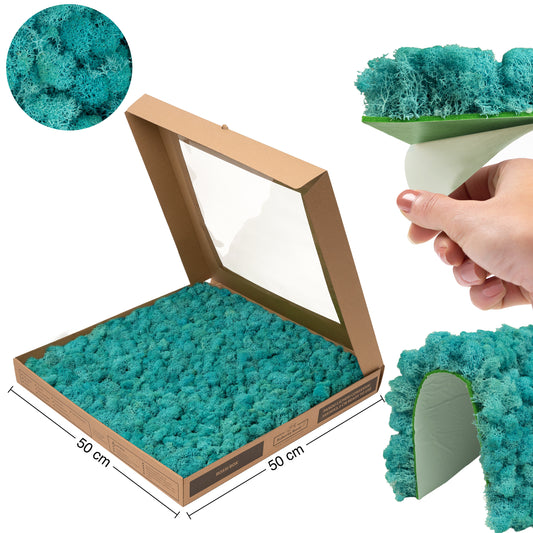 Licheni stabilizati gata lipiti panou 50x50x5.5 cm albastru azur deschis RR61