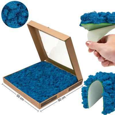 Licheni stabilizati gata lipiti panou 50x50x5.5 cm albastru clasic mediu RR59